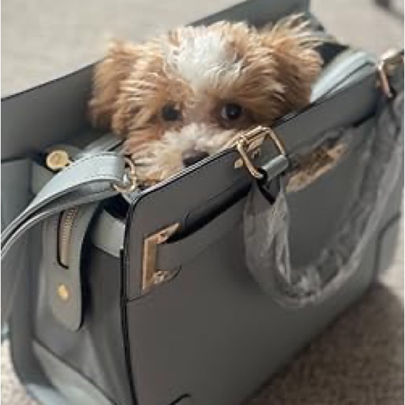 Dog Carrier in PU LEATHER light blue crossbody/tote - Picture 1 of 14